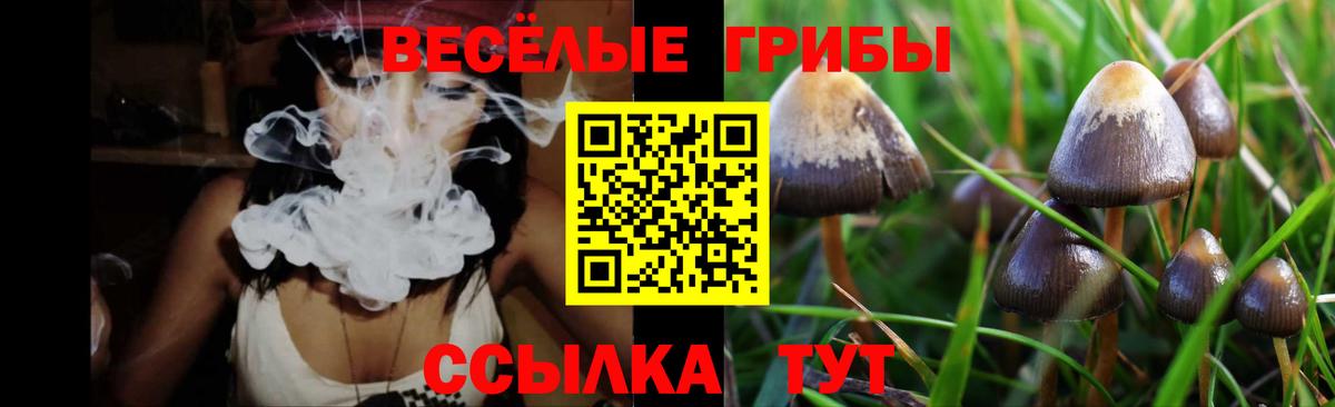 купить закладку  Галлюциногенные грибы ЛСД  Вход с VPN  Псилоцибиновые грибы мухоморы  Борисоглебск 